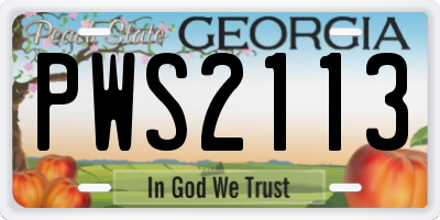 GA license plate PWS2113