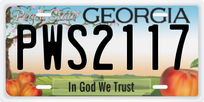 GA license plate PWS2117
