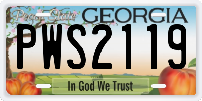 GA license plate PWS2119