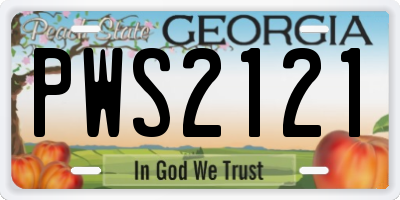 GA license plate PWS2121