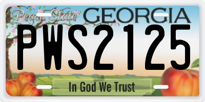 GA license plate PWS2125