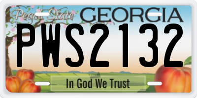 GA license plate PWS2132
