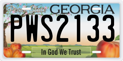 GA license plate PWS2133