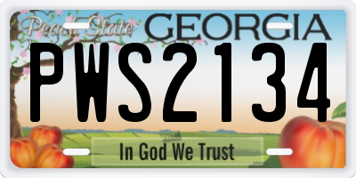 GA license plate PWS2134