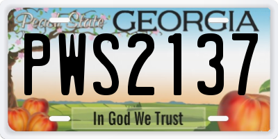 GA license plate PWS2137