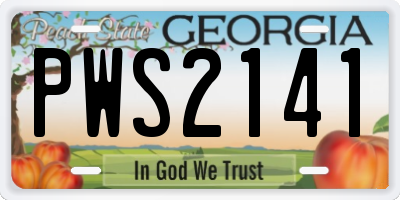 GA license plate PWS2141