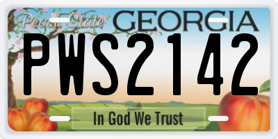 GA license plate PWS2142