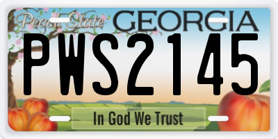 GA license plate PWS2145
