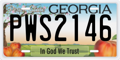 GA license plate PWS2146