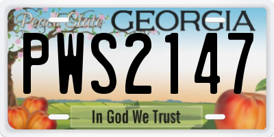 GA license plate PWS2147