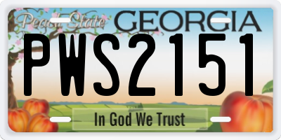 GA license plate PWS2151