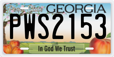 GA license plate PWS2153