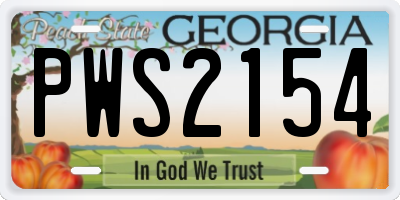 GA license plate PWS2154