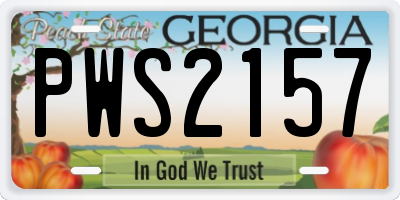 GA license plate PWS2157