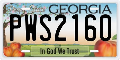GA license plate PWS2160