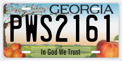 GA license plate PWS2161