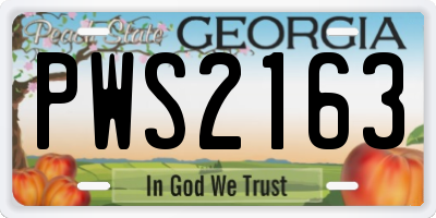 GA license plate PWS2163