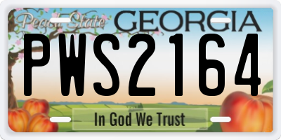 GA license plate PWS2164