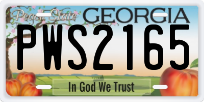GA license plate PWS2165