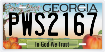 GA license plate PWS2167