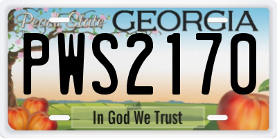 GA license plate PWS2170