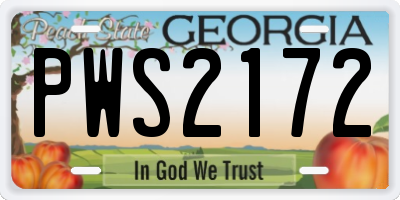 GA license plate PWS2172