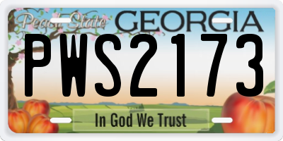 GA license plate PWS2173