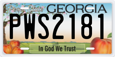 GA license plate PWS2181