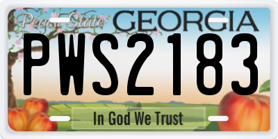GA license plate PWS2183