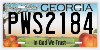 GA license plate PWS2184