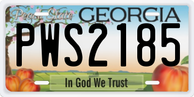 GA license plate PWS2185
