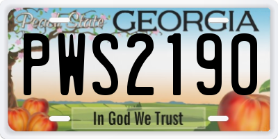 GA license plate PWS2190