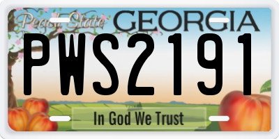 GA license plate PWS2191