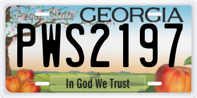 GA license plate PWS2197