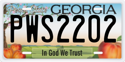 GA license plate PWS2202