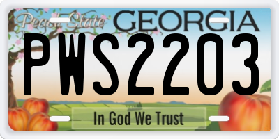 GA license plate PWS2203