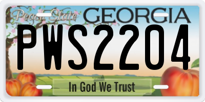 GA license plate PWS2204