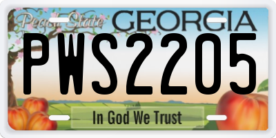 GA license plate PWS2205