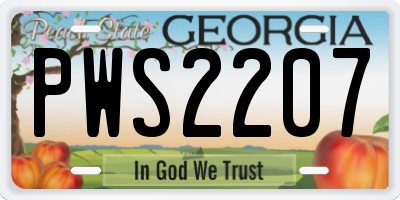 GA license plate PWS2207