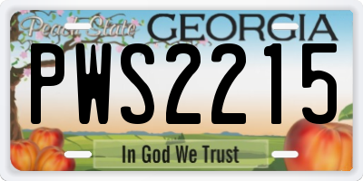 GA license plate PWS2215