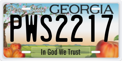 GA license plate PWS2217