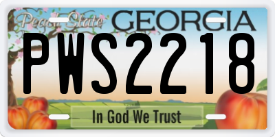 GA license plate PWS2218