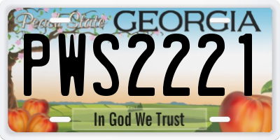 GA license plate PWS2221