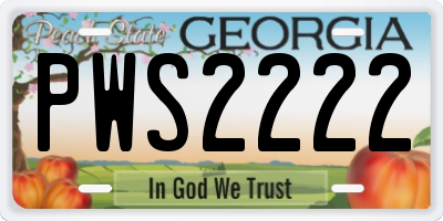 GA license plate PWS2222