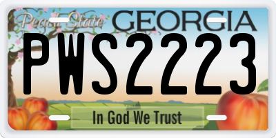 GA license plate PWS2223