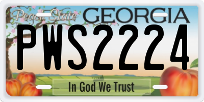 GA license plate PWS2224