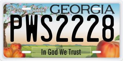 GA license plate PWS2228