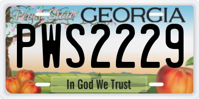 GA license plate PWS2229
