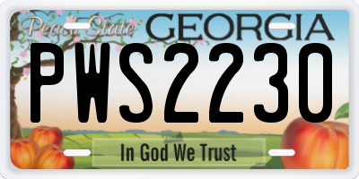 GA license plate PWS2230