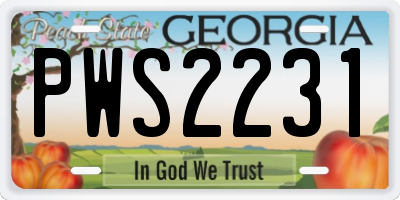 GA license plate PWS2231